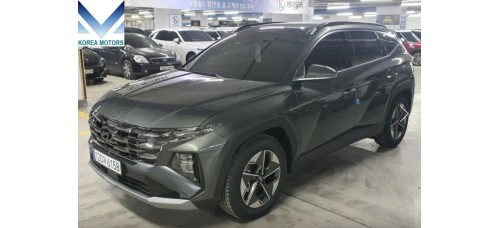 SUV HYUNDAI TUCSON NX4 2020-23 YEAR